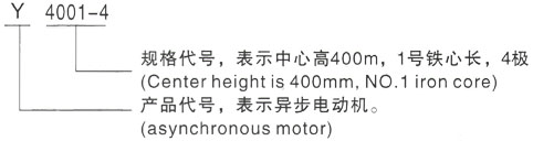 西安泰富西玛Y系列(H355-1000)高压JR127-6三相异步电机型号说明