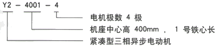 YR系列(H355-1000)高压JR127-6三相异步电机西安西玛电机型号说明